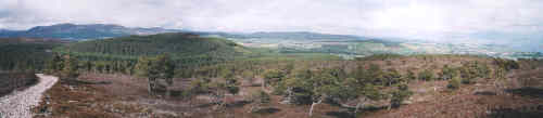 Panoramic view of Ardross area